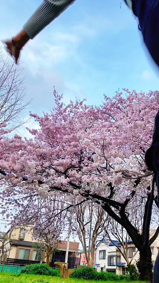 TikTok video thumbnail by yume_.614