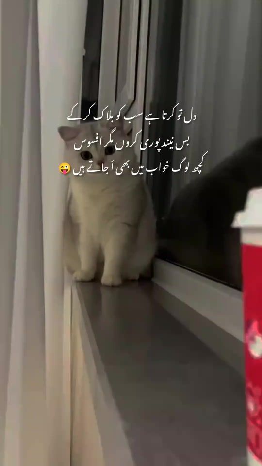 TikTok video thumbnail by ishqwrites550