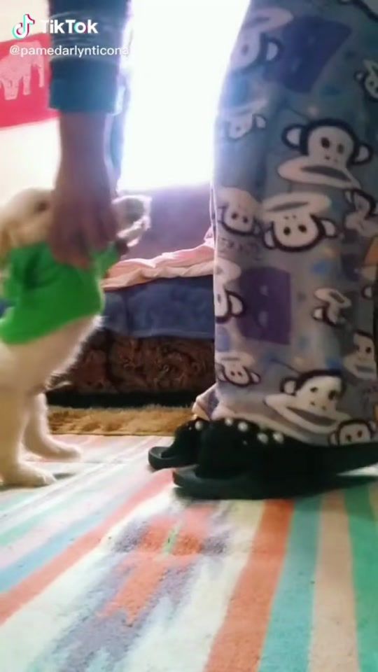 TikTok video thumbnail by pamelita.baby