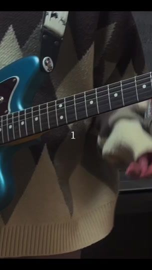 TikTok video thumbnail by shigure_guitar