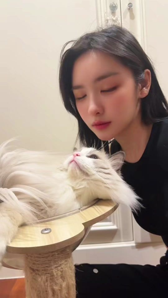 TikTok video thumbnail by coconutman_official