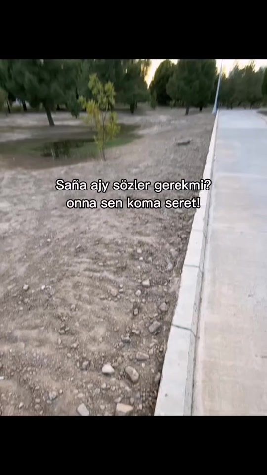 TikTok video thumbnail by _4714_4