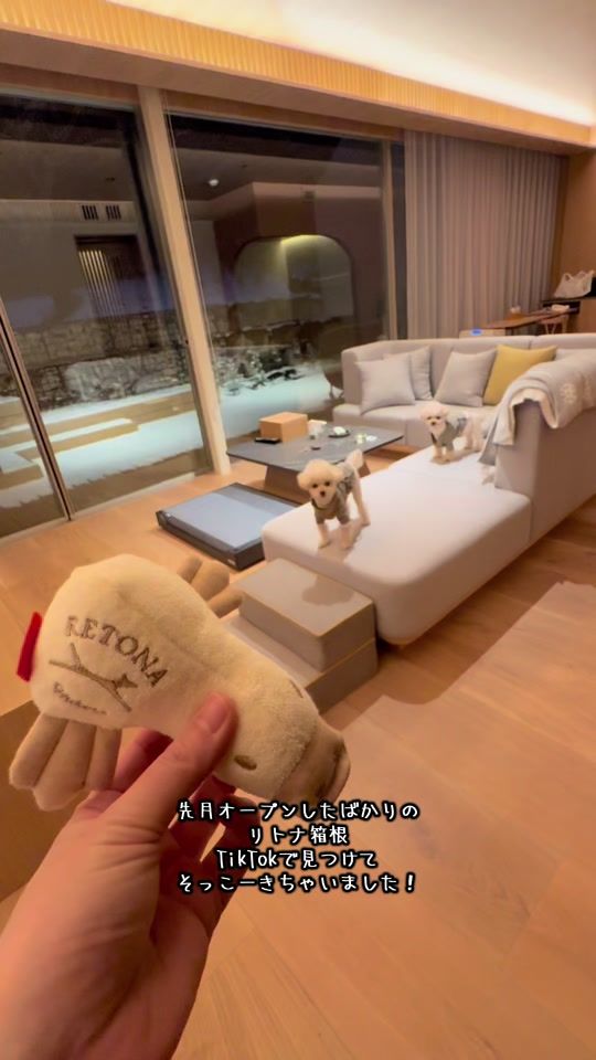 TikTok video thumbnail by mona2018.11.25
