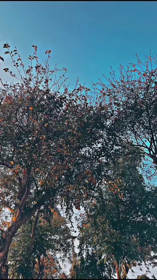 TikTok video thumbnail by sanamdoll786