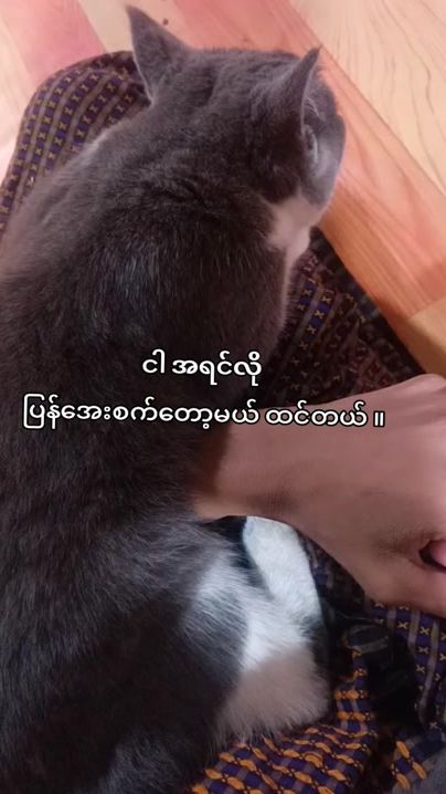 TikTok video thumbnail by xeno_2005a