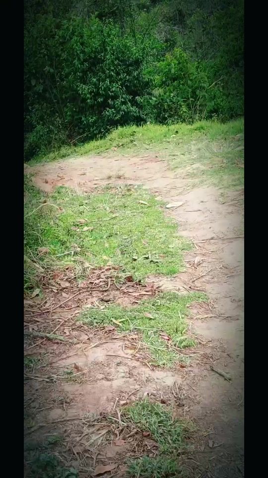 TikTok video thumbnail by _hernandez_gt