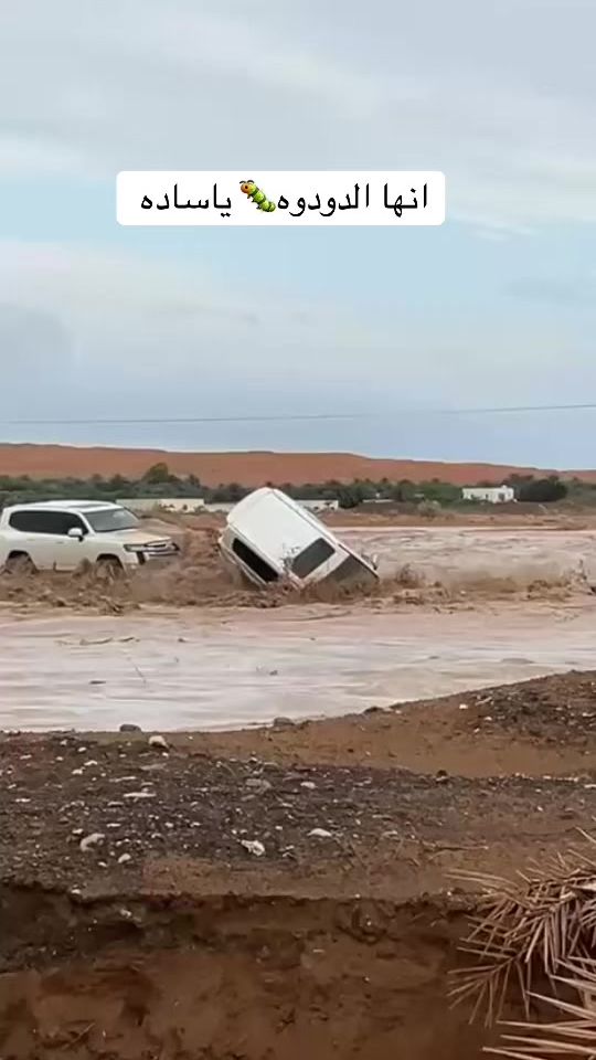TikTok video thumbnail by said770a7