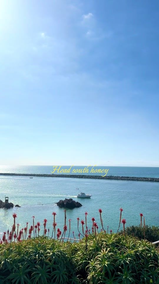 TikTok video thumbnail by sjhaaik
