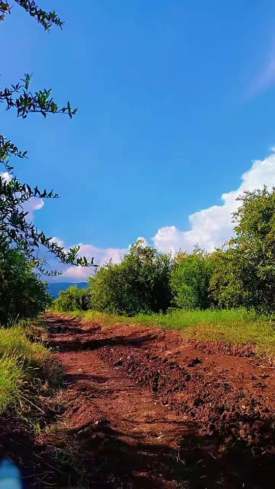 TikTok video thumbnail by efrin_11