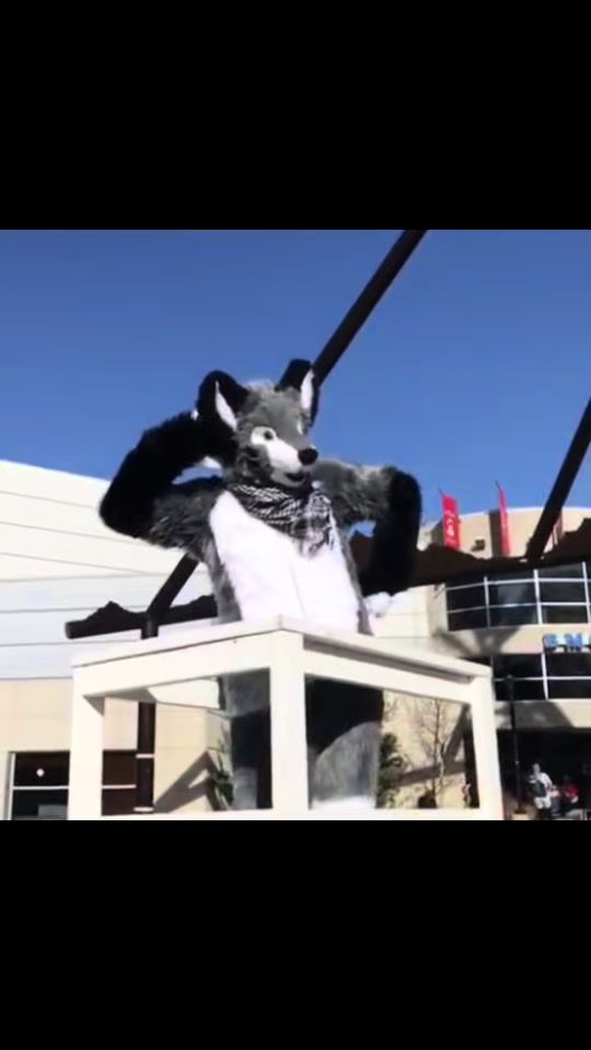 TikTok video thumbnail by tiko.wolf