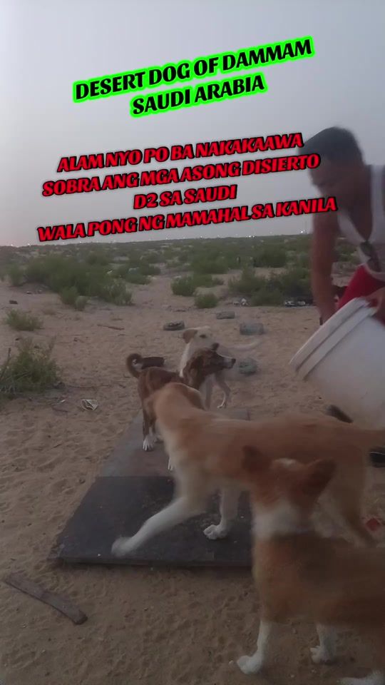 TikTok video thumbnail by tabiraodencio