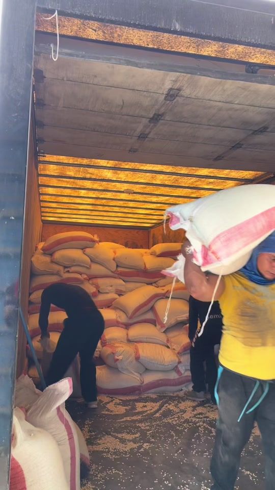 TikTok video thumbnail by michaelcastro352