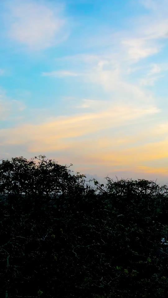 TikTok video thumbnail by erikaurtechoe
