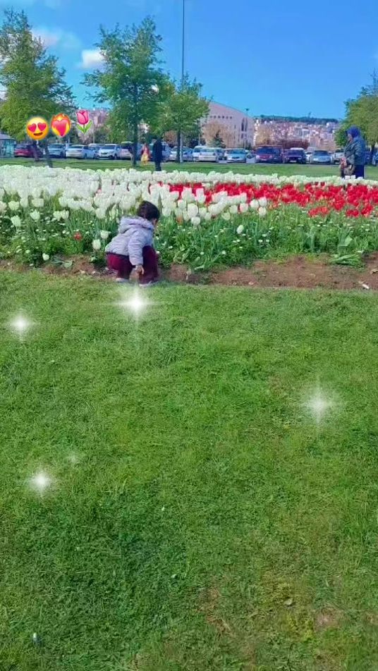 TikTok video thumbnail by mojgan_jan