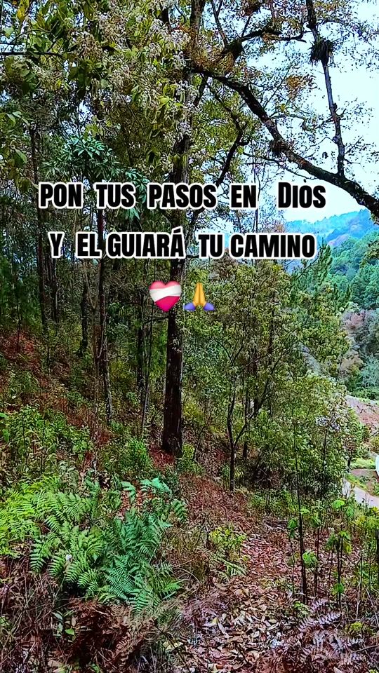 TikTok video thumbnail by diosmetraforma0