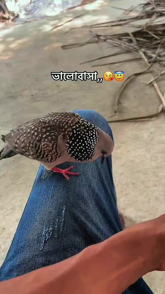 TikTok video thumbnail by itzkaka10isback