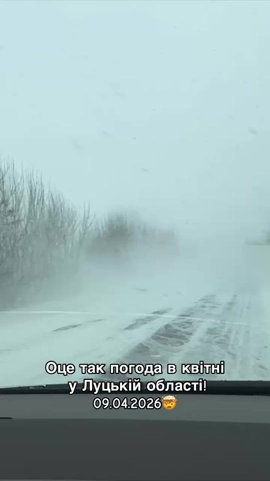TikTok video thumbnail by volynblog