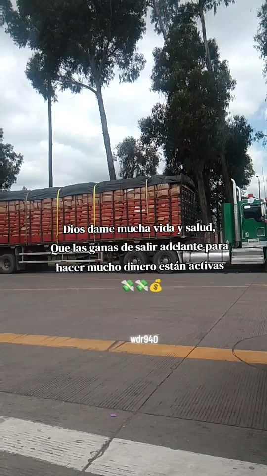 TikTok video thumbnail by wdr940