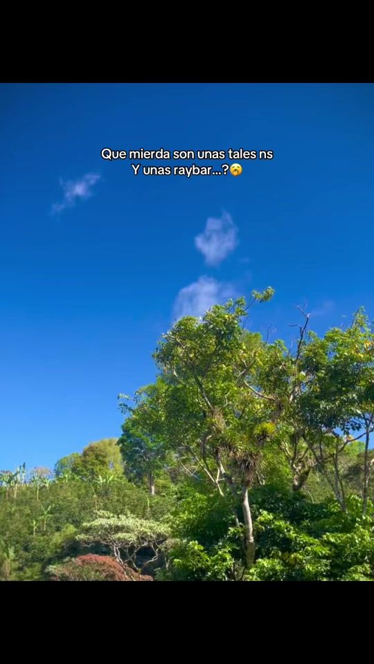 TikTok video thumbnail by mr_bryant.22