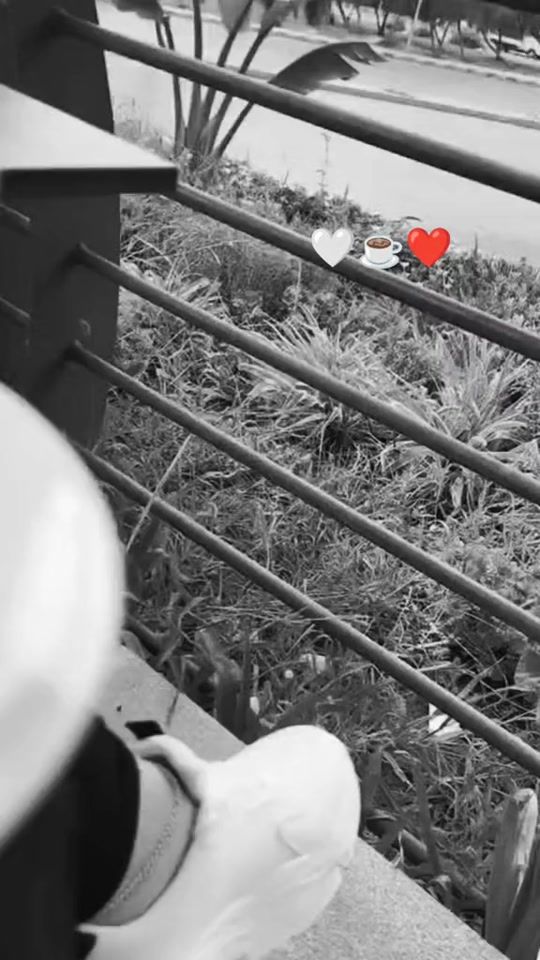 TikTok video thumbnail by 19y_____y19