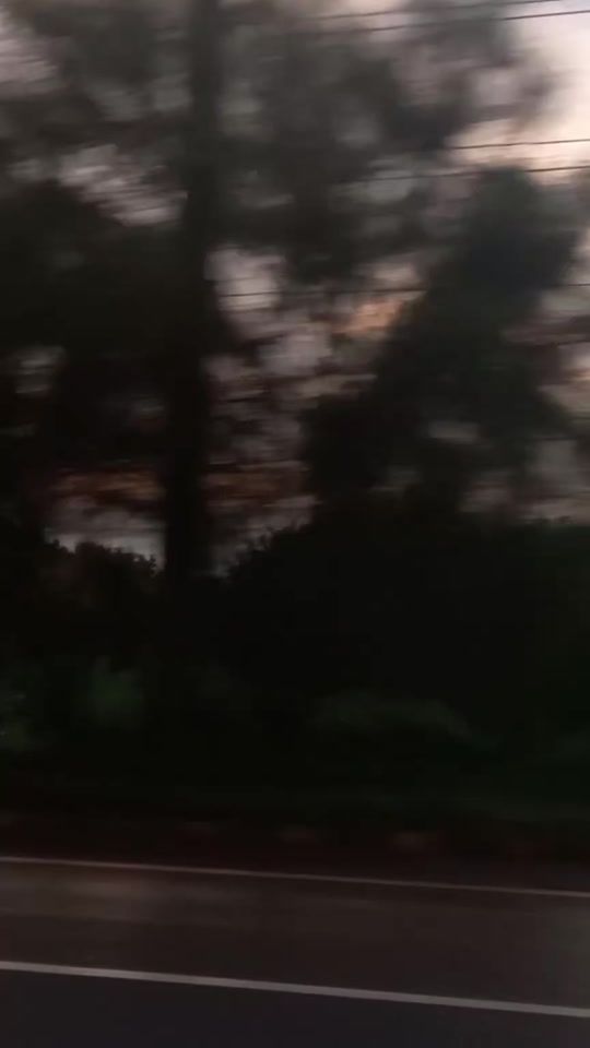 TikTok video thumbnail by lifeofkitten