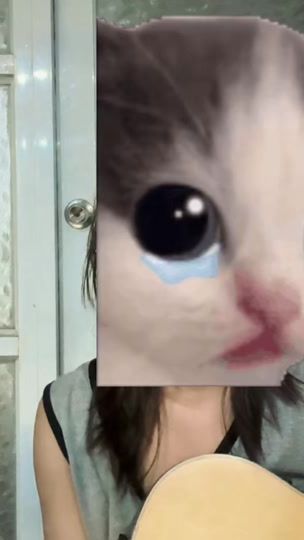TikTok video thumbnail by echo99984