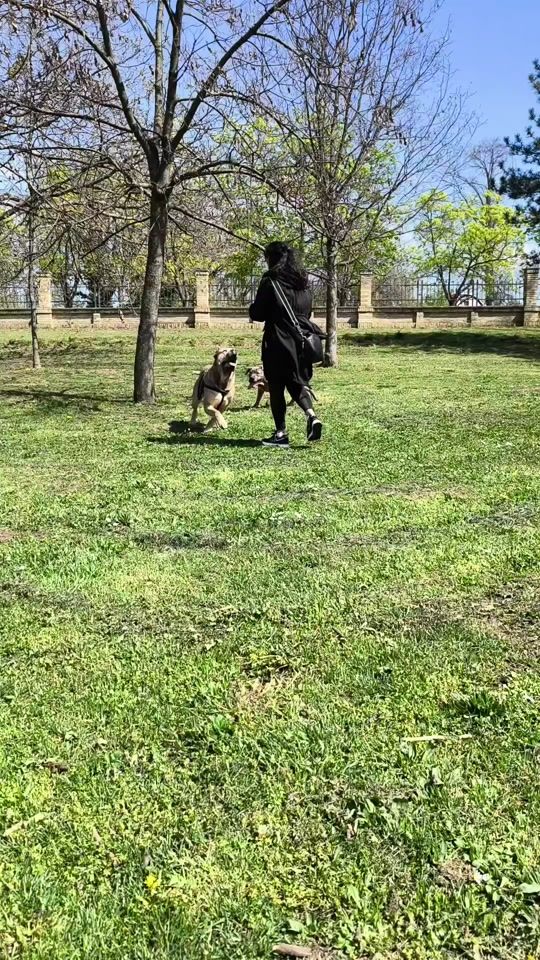 TikTok video thumbnail by niko_bitan.666