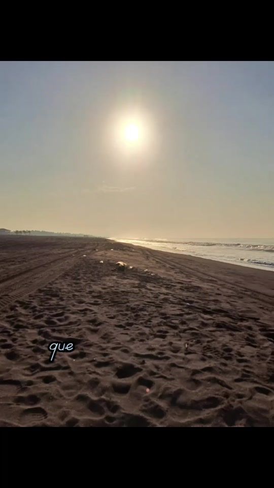 TikTok video thumbnail by sandman_192