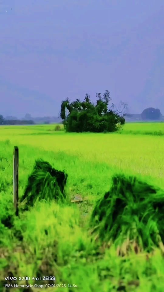 TikTok video thumbnail by 1986motorcycle5