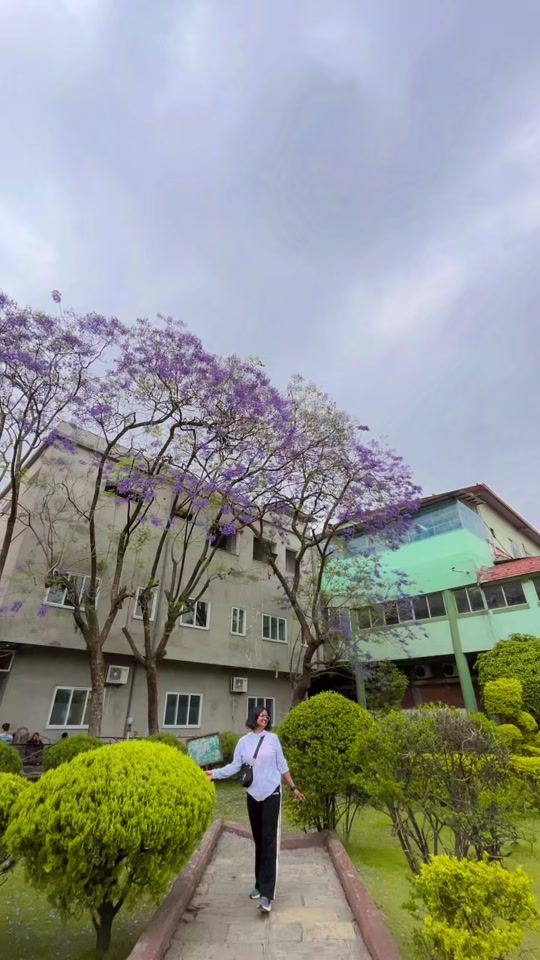 TikTok video thumbnail by binita.pariyar.da