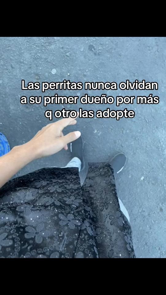 TikTok video thumbnail by werner_pacheco