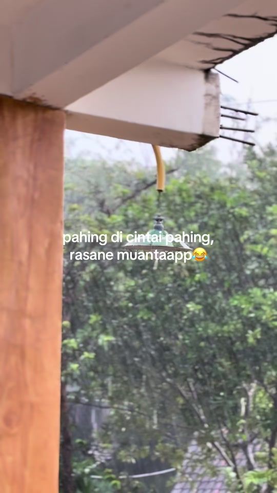 TikTok video thumbnail by user919229497