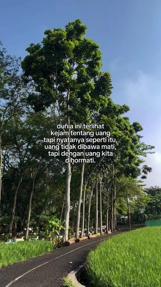 TikTok video thumbnail by anstory_