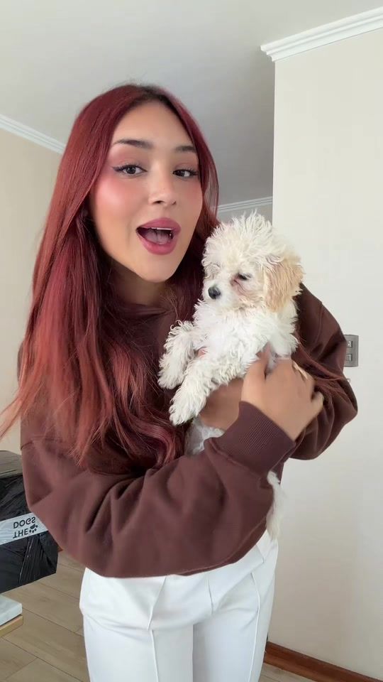 TikTok video thumbnail by renax.eilish