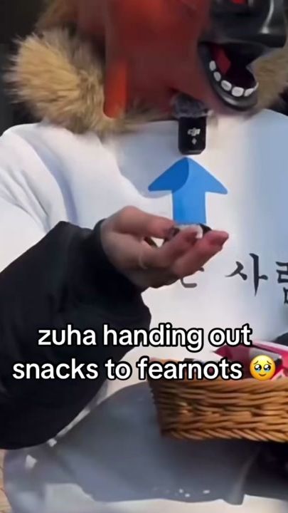 TikTok video thumbnail by irvizchae