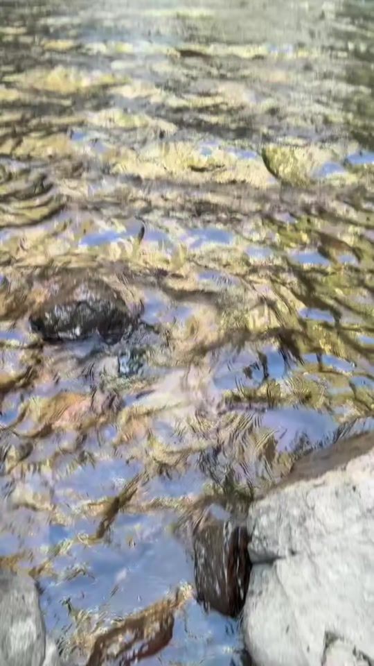 TikTok video thumbnail by miguemochilero