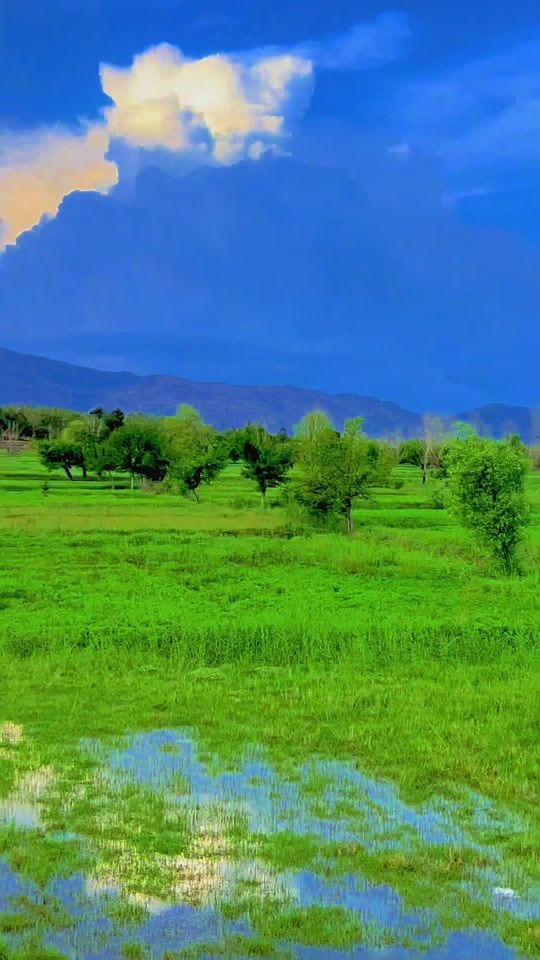 TikTok video thumbnail by omar_king143