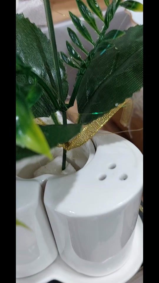 TikTok video thumbnail by modernhouse770