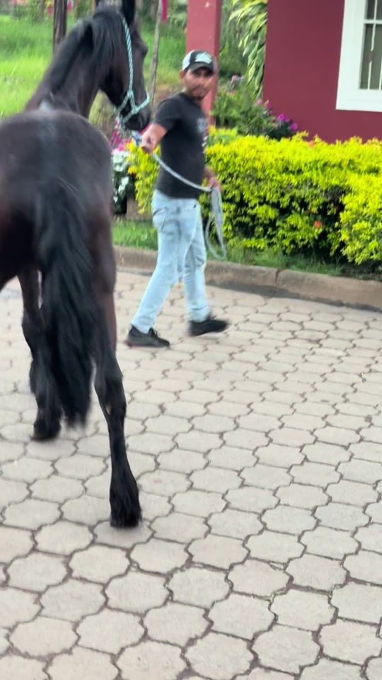 TikTok video thumbnail by jadermatuslazo