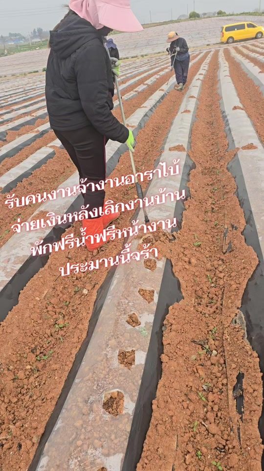 TikTok video thumbnail by aurasa_49