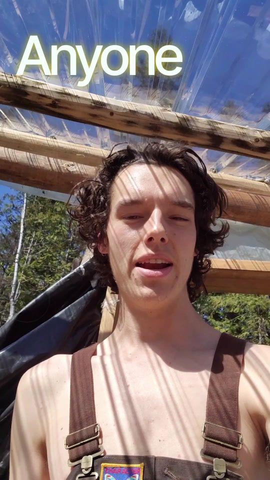 TikTok video thumbnail by solarity.acres