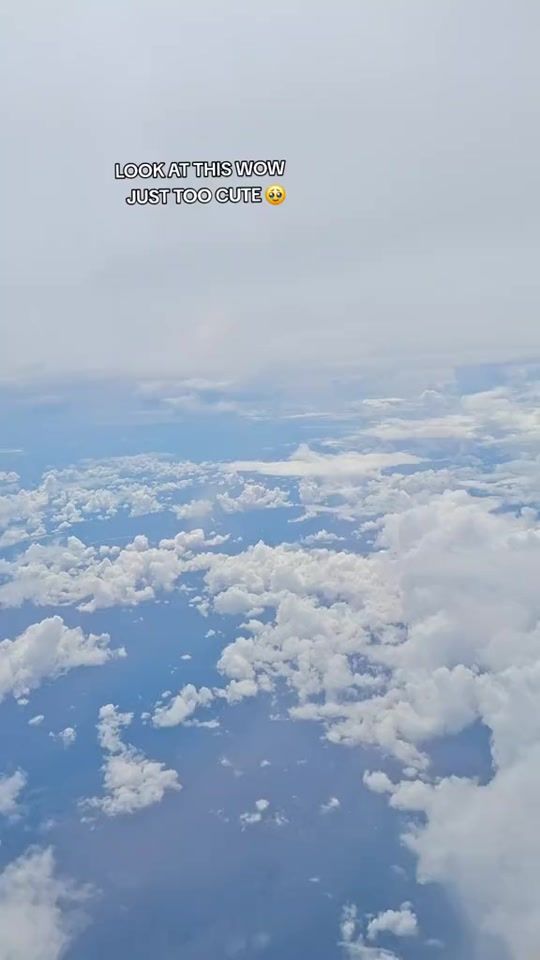 TikTok video thumbnail by tantaabbey23