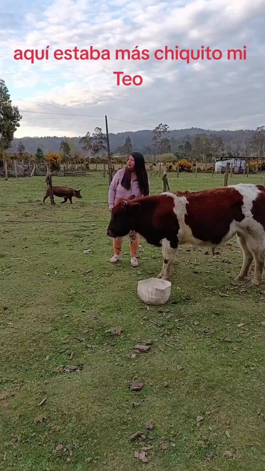 TikTok video thumbnail by alejandra.marcela25