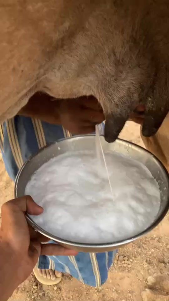 TikTok video thumbnail by kadermoustafa1