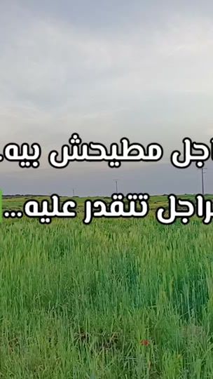 TikTok video thumbnail by nasro_no_20