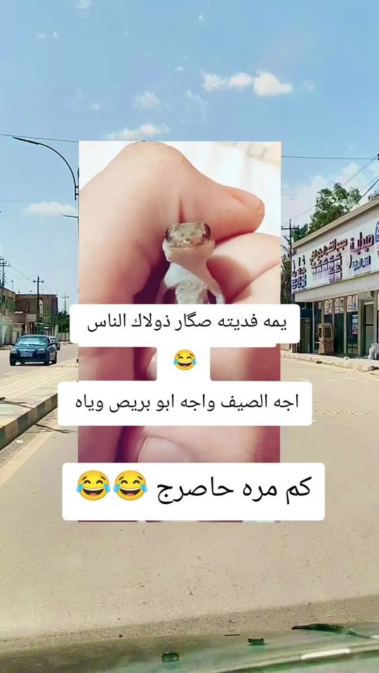 TikTok video thumbnail by z__3__z