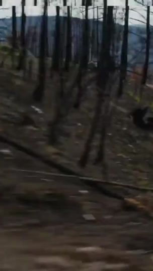 TikTok video thumbnail by user165p36tqp2