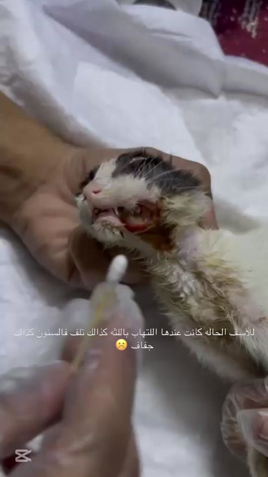 TikTok video thumbnail by mroan777