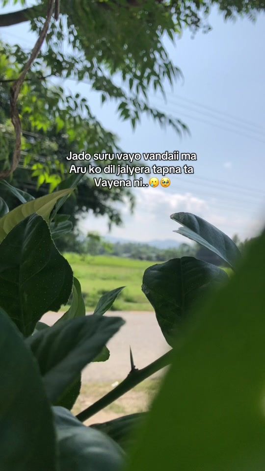 TikTok video thumbnail by chuppadeu_2
