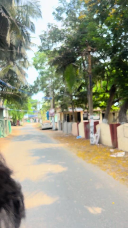 TikTok video thumbnail by gantaramesh5